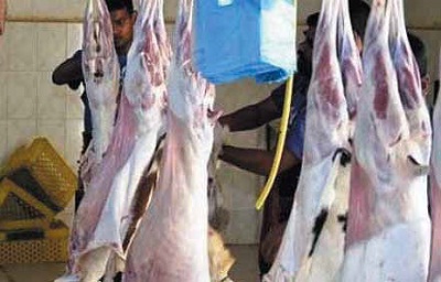 من أسباب قلة الثروة الحيوانية في المملكة العربية السعودية الاستهلاك الضخم من اللحوم .