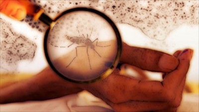 أول حالة وفاة من ستين مصابًا بحمى الضنك في ساحل حضرموت