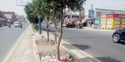 جزر شوارع العاصمة أضحت بديلاً لبراميل النفايات