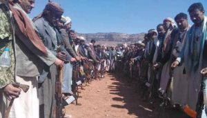 مشايخ وشخصيات اجتماعية: وثيقة الشرف القبلية ضرورة فرضتها المرحلة لتعزيز الصمود