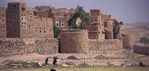 مزارعو الثوم بمحافظة عمران يطالبون بالتدخل لتسويق محصول الثوم البلدي