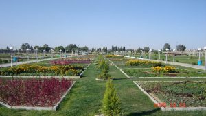 تدشين مشروع زراعة المسطحات بحدائق أمانة العاصمة