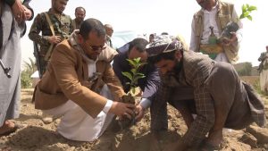 محافظ صعدة يدشن مشروع إحلال أشجار اللوزيات بالمحافظة (صور)