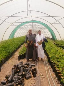 الاطلاع على احتياجات مشتل الرصعة بالحيمة الخارجية
