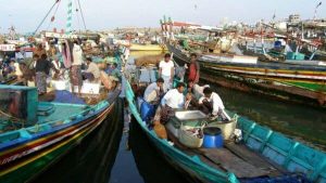 قوات الإحتلال البريطاني والسعودي تمنع الصيادين من مزاولة أعمالهم في سواحل المهرة