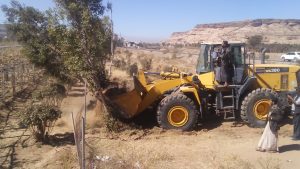 المؤسسة العامة لتنمية وإنتاج الحبوب تدشن الحملة الأولى لقلع أشجار القات في بني حشيش بصنعاء