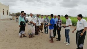 تفقد عدد من اراضي الدولة التي صدرت فيها أحكام قضائية لصالح هيئة الاراضي بالحديدة