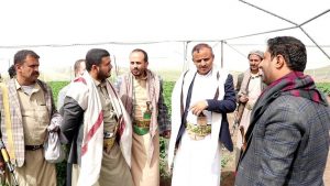 إب..تفقد أنشطة زراعة بذور البطاطس في مزرعة رباط القلعة
