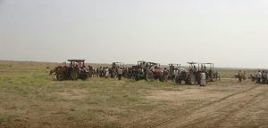مؤسسة إنتاج وتنمية الحبوب تدشن مشروع زراعة الأراضي الصحراوية في مديرية المنيرة بالحديدة