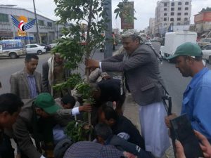 تدشين تشجير الجزر الوسطية بشارع التلفزيون بمديرية الثورة