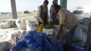 ضبط معدات اصطياد مخالفة قبالة سواحل المتينة في التحيتا بالحديدة