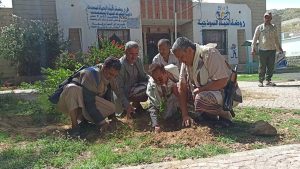الجمالي والرصاص يدشنان موسم التشجير في المنشآت العامة بمدينة البيضاء 
