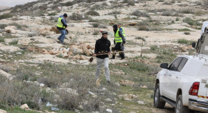 مستوطنون صهاينة يتلفون محاصيل زراعية جنوب بيت لحم