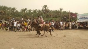 مهرجان كرنفالي وشعبي لمزارعي مديرية التحيتا في الحديدة