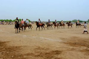 مهرجان شعبي احتفاءً بانتهاء موسم التمور في التحيتا بالحديدة 