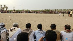 مهرجان كرنفالي شعبي لمزارعي التمور”المناصف” في مديرية الدريهمي بالحديدة