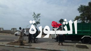 تدشين تشجير الجزر الوسطية في شوارع مدينة الحديدة