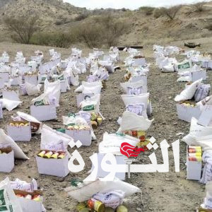 تدشين توزيع 500 سلة غذائية بمديرية جبل رأس بالحديدة