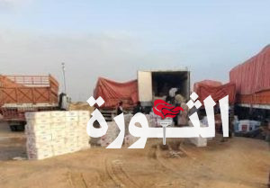ضبط محاولة تهريب كمية كبيرة من الأدوية والمبيدات بمركز الحزم الجمركي