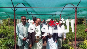 أمين محلي إب يطلع على نشاط واحتياجات المشتل الزراعي
