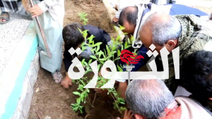 مكتب الزراعة في صعدة يدشن زراعة شتلات مثمرة في المدارس الصيفية