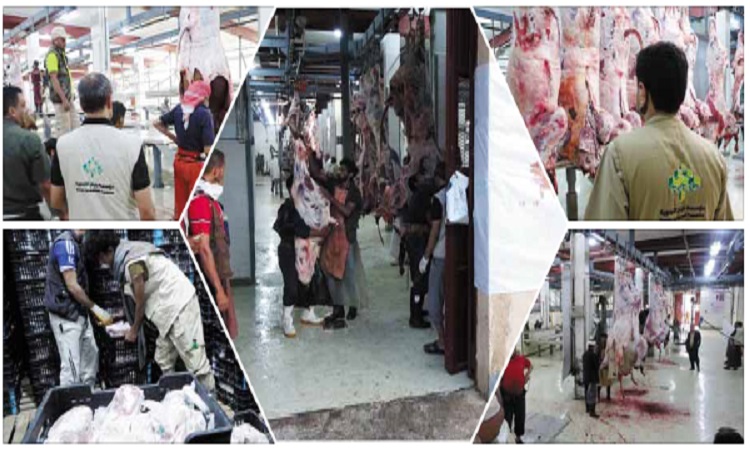 يستهدف 41 ألف أسرة بنيان تطلق مشروع اللحوم والأضاحي العيدية للموسم السابع
