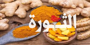 الفريق التنموي بريمة يقيم ورشة عمل لتقييم وتطوير سلاسل قيمة الزنجبيل والكركم