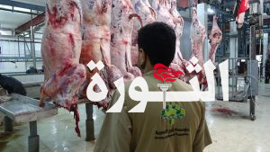 بنيان تعلن استكمال ترتيبات إطلاق مشروع اللحوم العيدية والأضاحي للعام 1445هـ