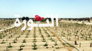 الاطلاع على نسبة التوسع في زراعة النخيل بمحافظة الجوف