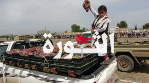 أبناء حي الحتارش بأمانة العاصمة يجودون بقافلة عنب دعما للمجاهدين في الجبهات