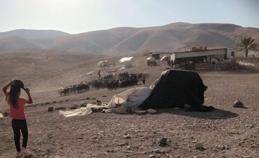 مستوطنون يعتدون على ممتلكات الفلسطينيين في شلال العوجا
