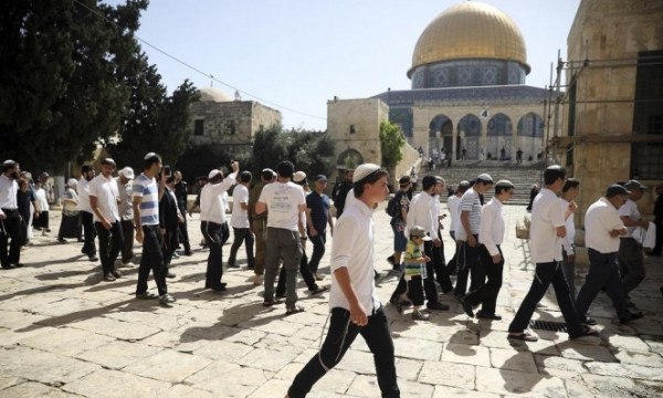 بحماية العدو الصهيوني..مستوطنون يقتحمون المسجد الأقصى