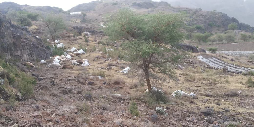 صاعقة رعدية تودي بحياة امرأتين وطفل في ذمار