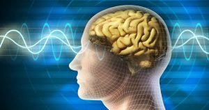 دراسة: حماية الحاجز الدموي الدماغي قد تحد من التدهور الإدراكي لدى المسنين