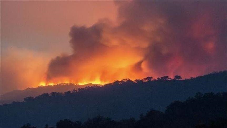 المغرب يواصل إخماد حريق غابة تمروت