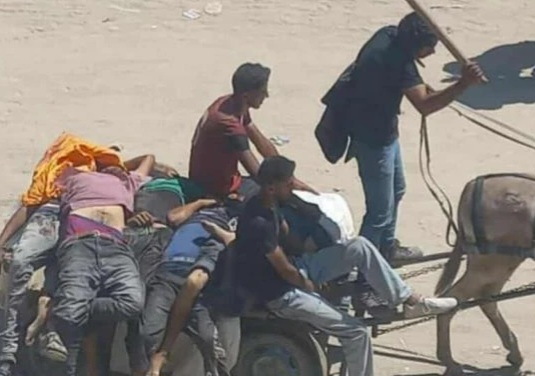 ارتفاع ضحايا لقمة العيش في غزة إلى 2,504 شهيدًا و18,381 جريحاً
