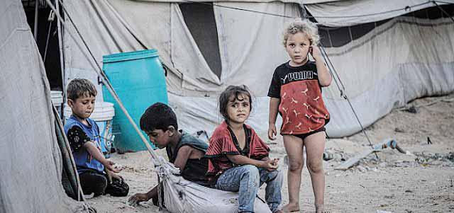 نزحوا قسراً تحت القصف.. مليون فلسطيني تذوي أعوادهم بالمواصي