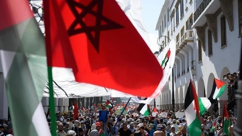 فاس المغربية تشهد وقفة تضامنية دعما لفلسطين ورفضا للإبادة الإسرائيلية بغزة