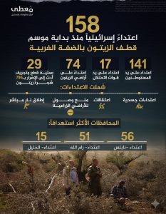 158 اعتداء إسرائيليا منذ بداية موسم قطف الزيتون في الضفة الغربية