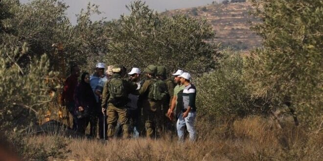 مستوطنون يعتدون بالضرب على فلسطيني برمون يهاجمون قاطفي الزيتون في عقربا