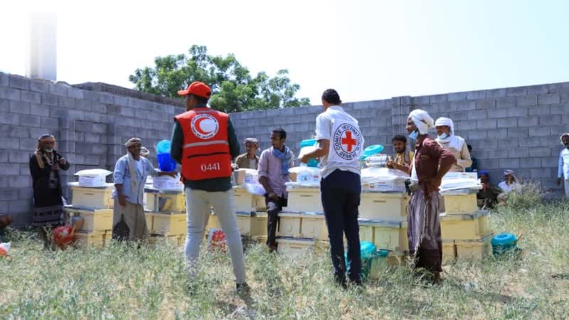 تدشين توزيع أدوات السلامة المهنية للنحالين المتضررين من السيول الحديدة