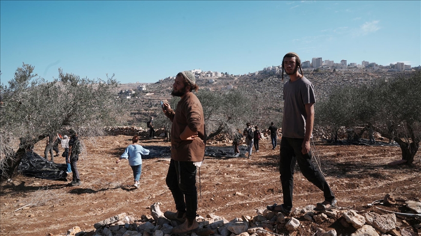 العدو الصهيوني يقتلع أشجار الزيتون في كفر مالك والجانية برام الله