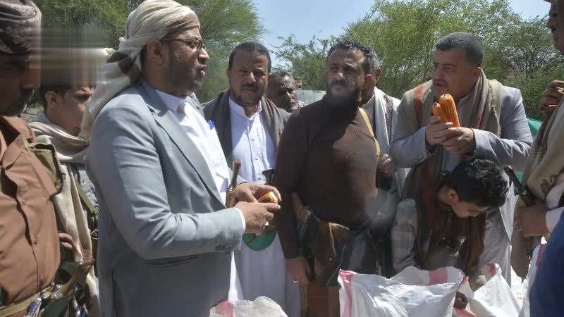 تدشين حصاد محصول بذور الذرة الشامية في التعزية