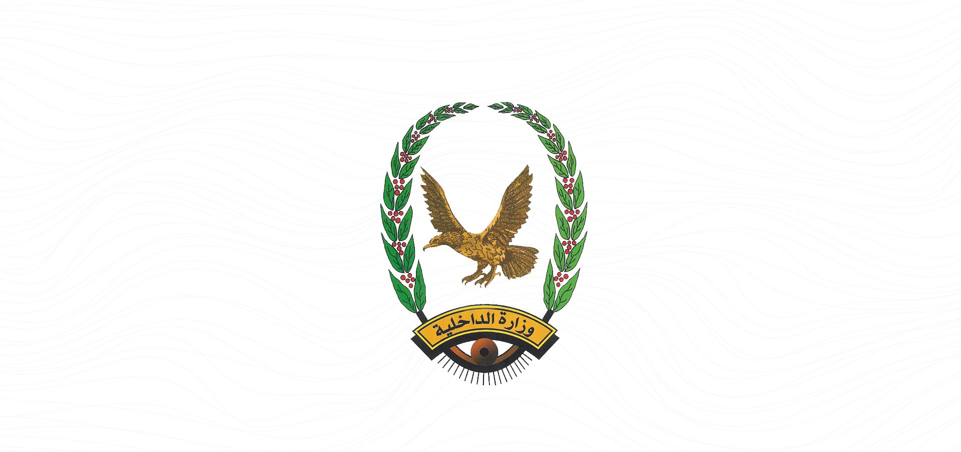 ضبط كميات كبيرة من الأدوية والسجائر والمبيدات المهربة في تعز