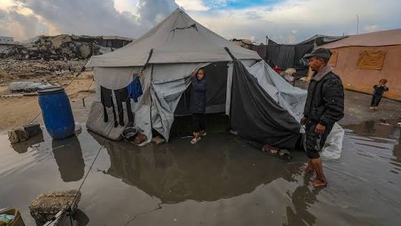 الأمم المتحدة: غالبية أهالي غزة يواجهون مستويات عالية من انعدام الأمن الغذائي الحاد