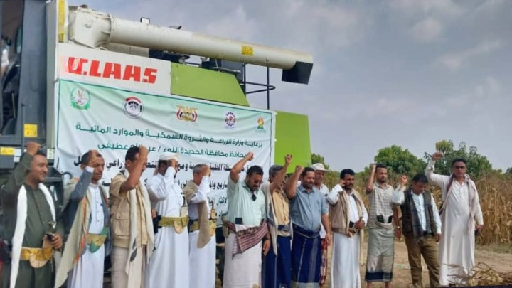 الحديدة.. تدشين حصاد محصول الذرة الشامية بمديرية باجل للموسم الزراعي 1447هـ