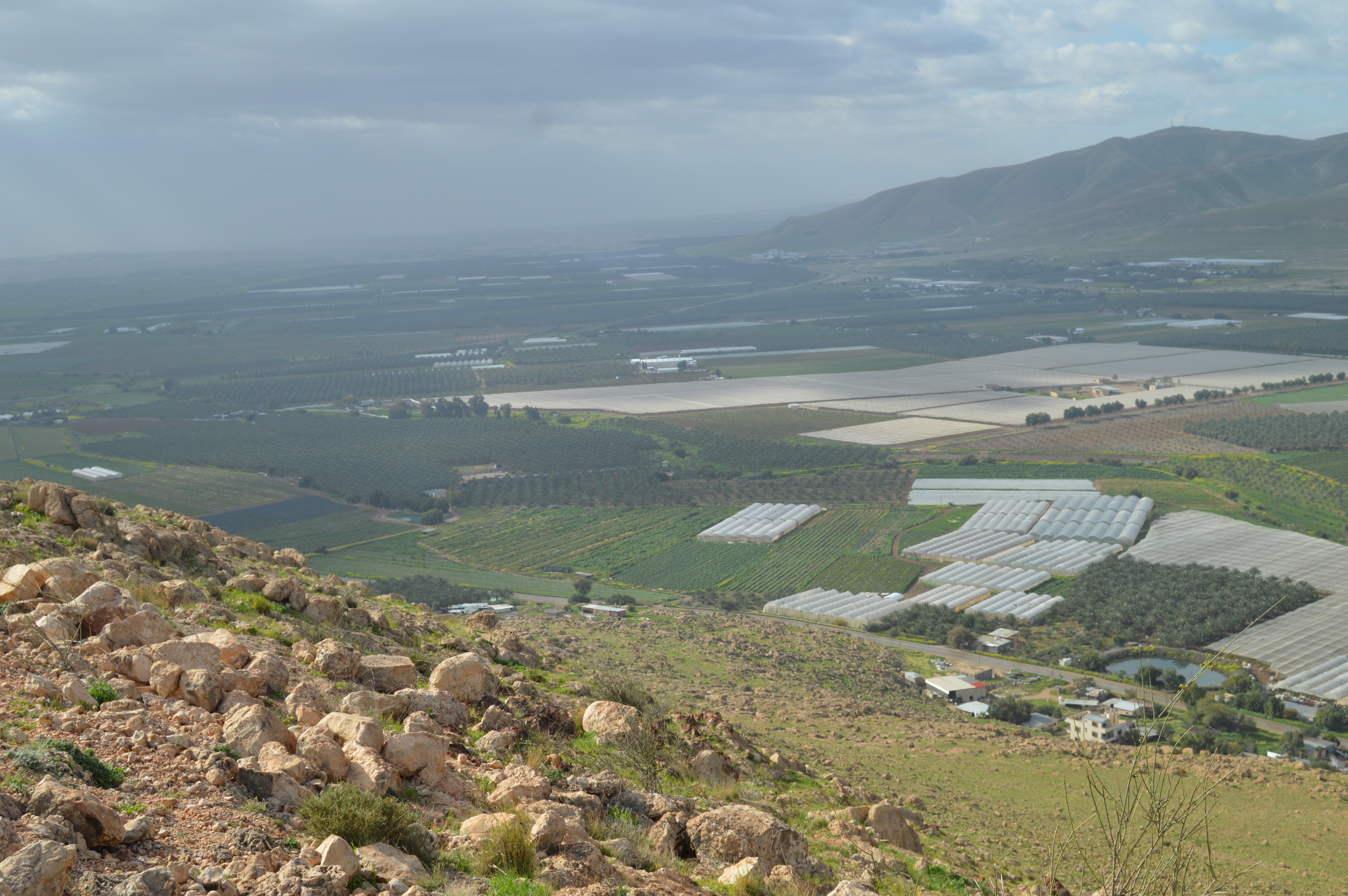 مئات المستوطنين يقتحمون الأغوار الشمالية بحماية جيش العدو الصهيوني