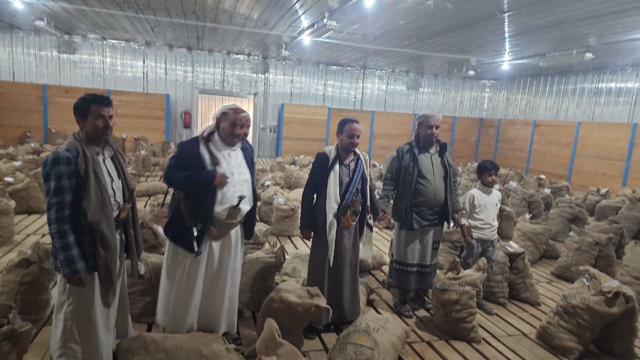 تدشين توزيع 20 طن من بذور البطاطس المحسنة على المزارعين بمديرية مكيراس بالبيضاء