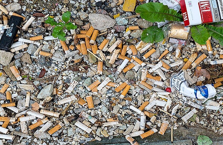 دراسة: أعقاب السجائر تتحول إلى ميكروبلاستيك وتظل سامة لـ10 سنوات