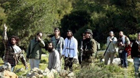 ” مقاومة الجدار” الفلسطينية: المستوطنون نفذوا 192 اعتداءً في الأسبوعين الأخيرين